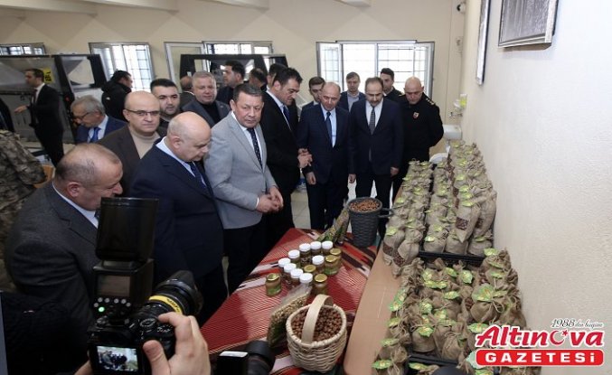 Giresun'da cezaevinde fındık işleme atölyesi açıldı