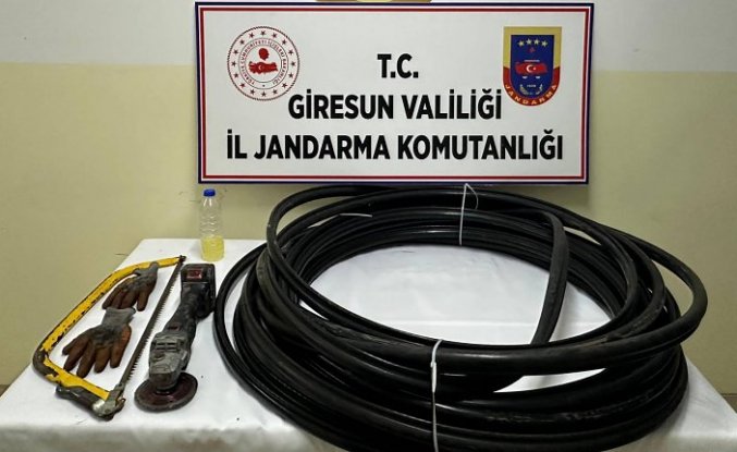 Giresun'da kablo hırsızlığı iddiasıyla 1 kişi tutuklandı