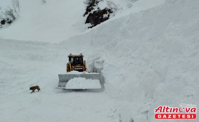 Borçka'da kar nedeniyle kapalı köy yolları ulaşıma açıldı