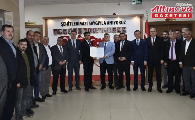 Sinop'ta 80 bin yabani zeytin ağacı aşılanarak ekonomiye kazandırılacak