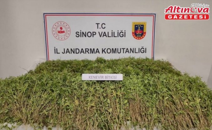 Sinop’ta uyuşturucu operasyonunda 2 kişi yakalandı