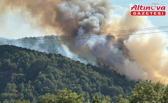 Bolu'nun Göynük ilçesinde çıkan orman yangınına müdahale ediliyor