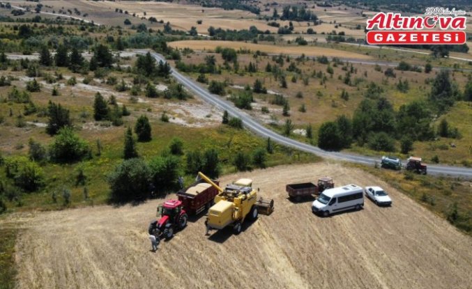 Eflani'de 46 bin dekar alana ekili hububatın hasadı başladı