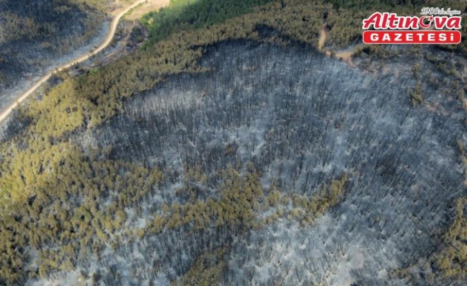 Karabük'te orman yangınlarında zarar gören alanlar havadan görüntülendi