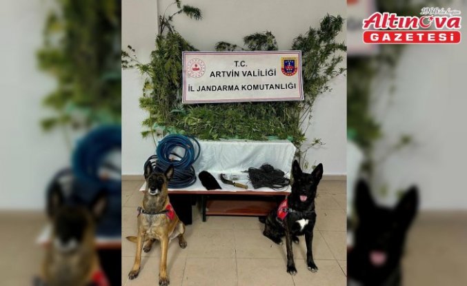 Artvin'de uyuşturucu ticareti yaptığı gerekçesiyle 1 zanlı tutuklandı