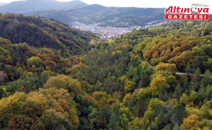 Sinop'ta sonbahar güzelliği seyirlik manzaralar sunuyor