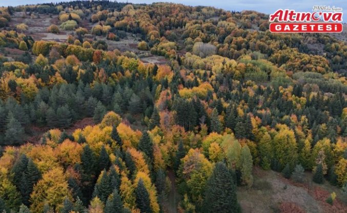 Sinop'ta sonbahar renkleri hakim oldu