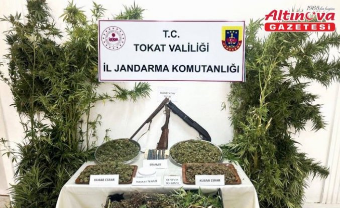 Tokat'ta 4 kilo 578 gram kubar esrar ele geçirildi