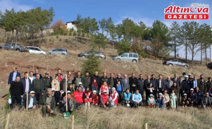 İskilip'te 200 fidan toprakla buluşturuldu