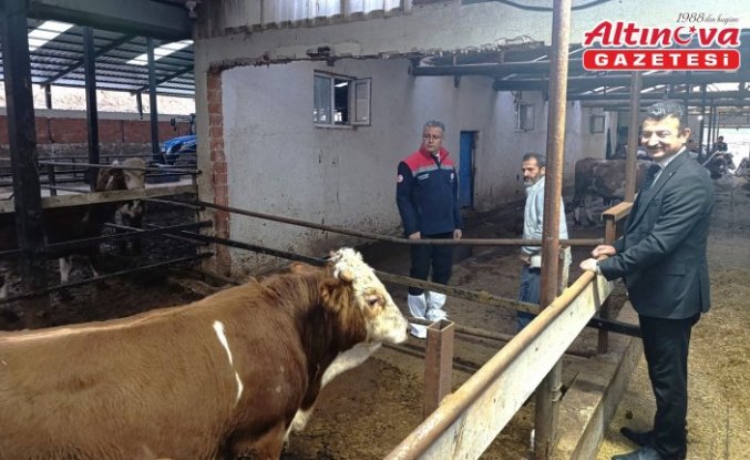 Samsun Tarım ve Orman Müdürü Yılmaz, Ladik'te besicileri ziyaret etti