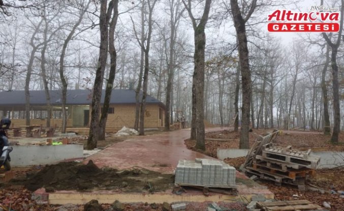 Asarcık Tongel Dağı'nda mesire alanı yapılıyor