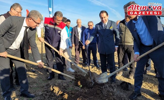 Samsun'da mor patlıcan incirinden sağlanacak gelirle kız öğrencilere burs verilecek