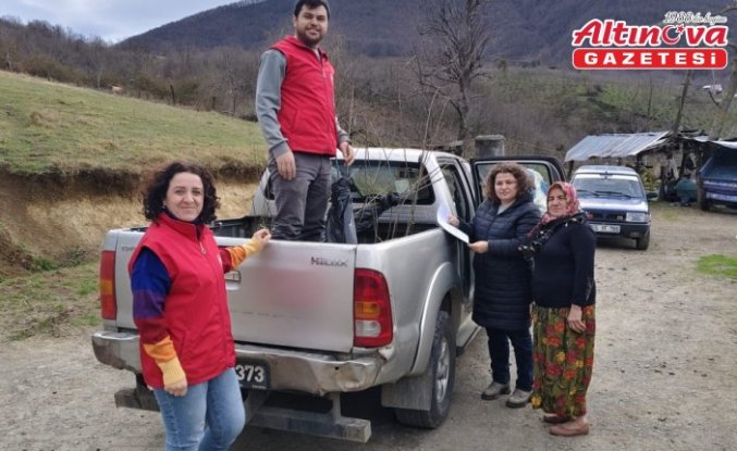 19 Mayıs ilçesinde kestane üretimini artırmak için çalışma yürütülüyor