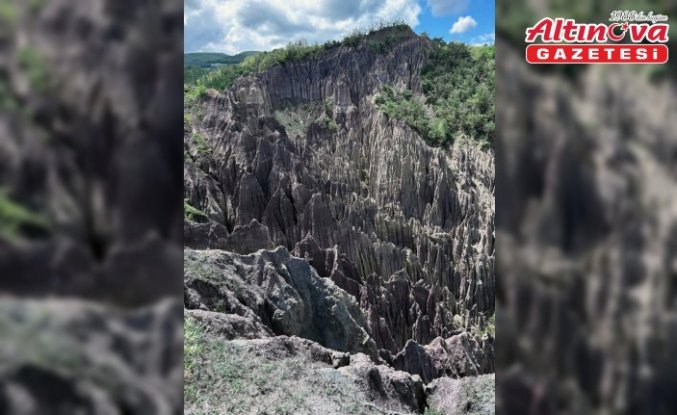 Türkiye'de korunan alan sayısı 692'ye yükseldi