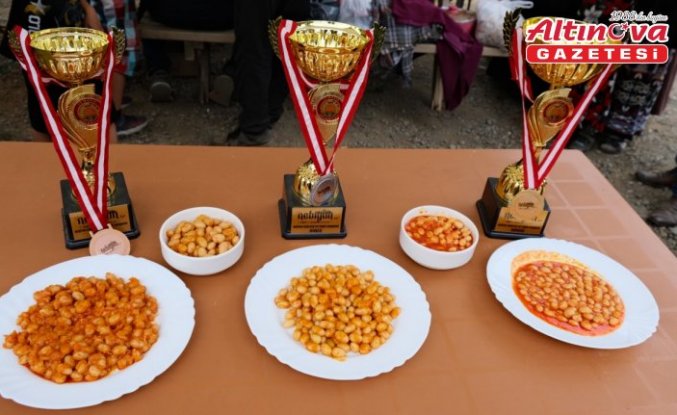 19 Mayıs ilçesinin tarım ürünleri için coğrafi işaret hazırlığı