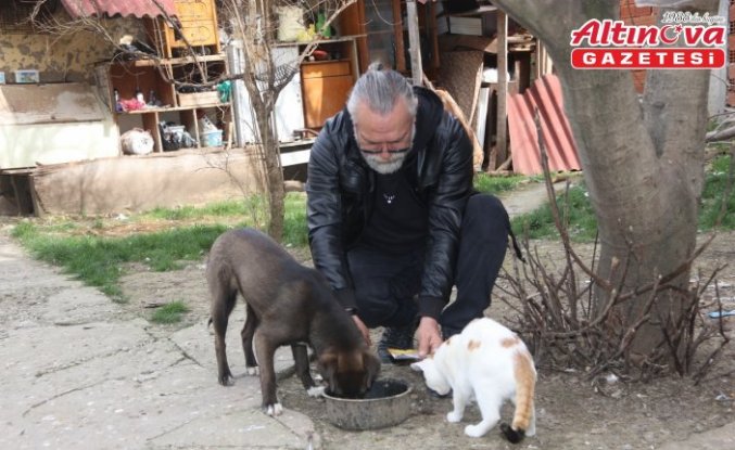 Amasya'da köpek Oskar ile kedi Çiçek'in dostluğu örnek oluyor