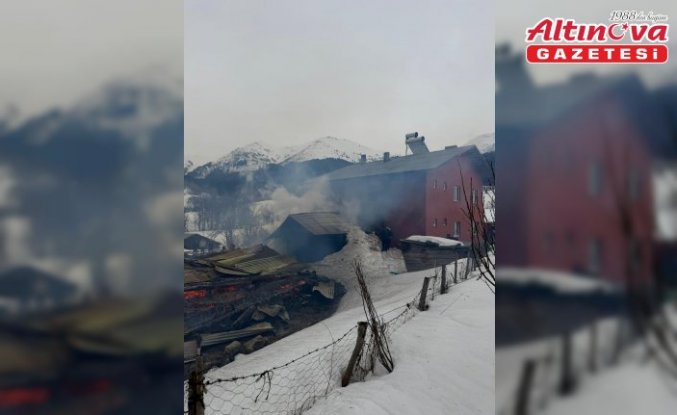 Artvin'de çıkan yangında ev ile ahır ve ambar yandı