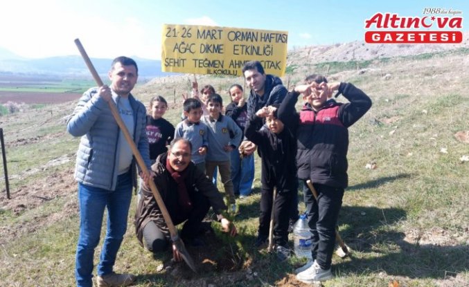 Gümüşhacıköy'de Orman Haftası'nda fidanlar toprakla buluşturuldu