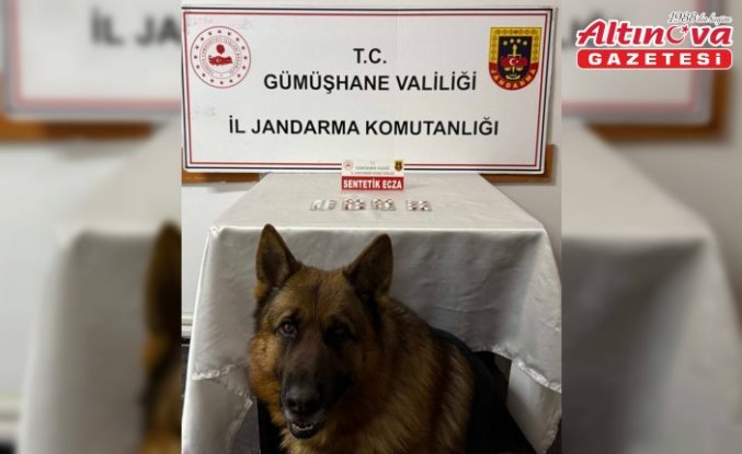 Gümüşhane'deki uyuşturucu operasyonunda 2 şüpheli yakalandı