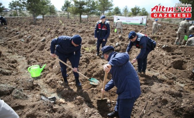 Kastamonu'da “Türkiye'nin gücü orman“ programında 1340 fidan dikildi