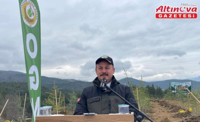 Niksar’da Orman Haftası'nda fidanlar toprakla buluşturuldu