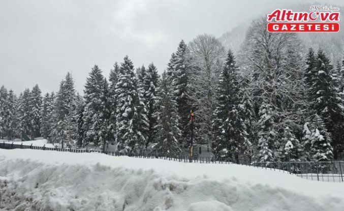 Rize ve Ordu'da kar etkili oldu
