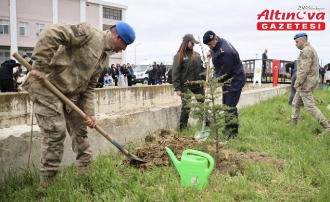 Sinop'ta toprakla buluşturulan 5 bin 700 fidan geleceğe nefes olacak