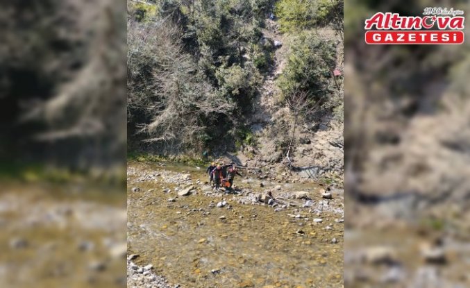 Zonguldak'ta defne yaprağı topladığı sırada yüksekten düşen kadın yaralandı
